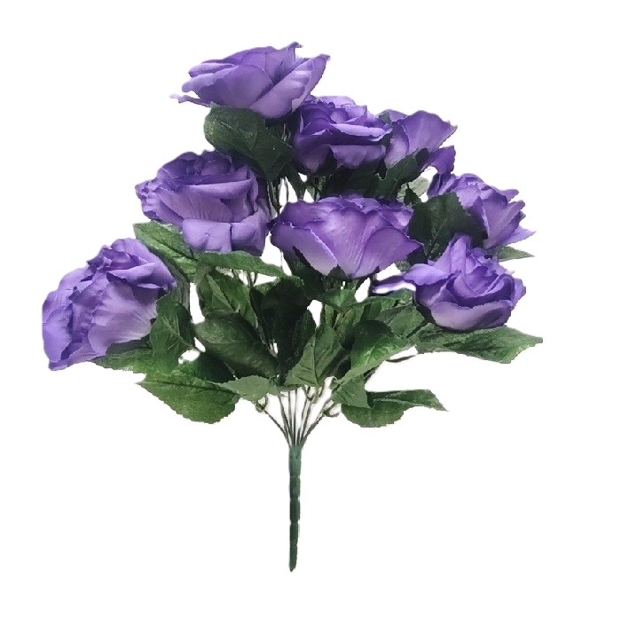 AVE MARIA PEACE ROSE BUSH