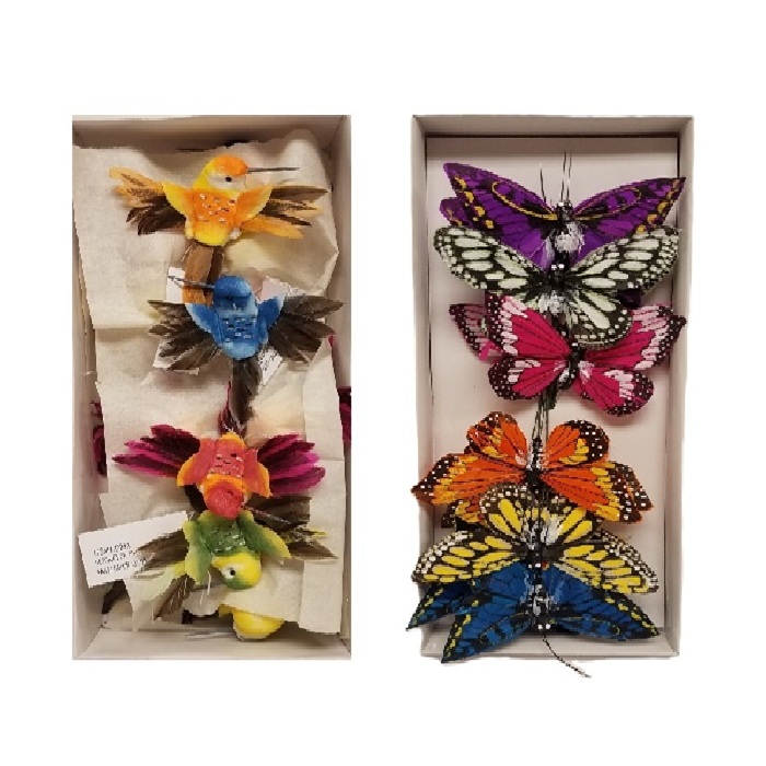 BIRDS, BUTTERFLIES, INSECTS